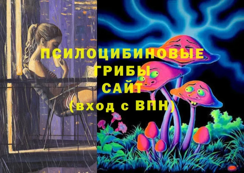 Галлюциногенные грибы MAGIC MUSHROOMS  Алатырь 